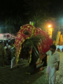An elephant at Kelaniya Temple